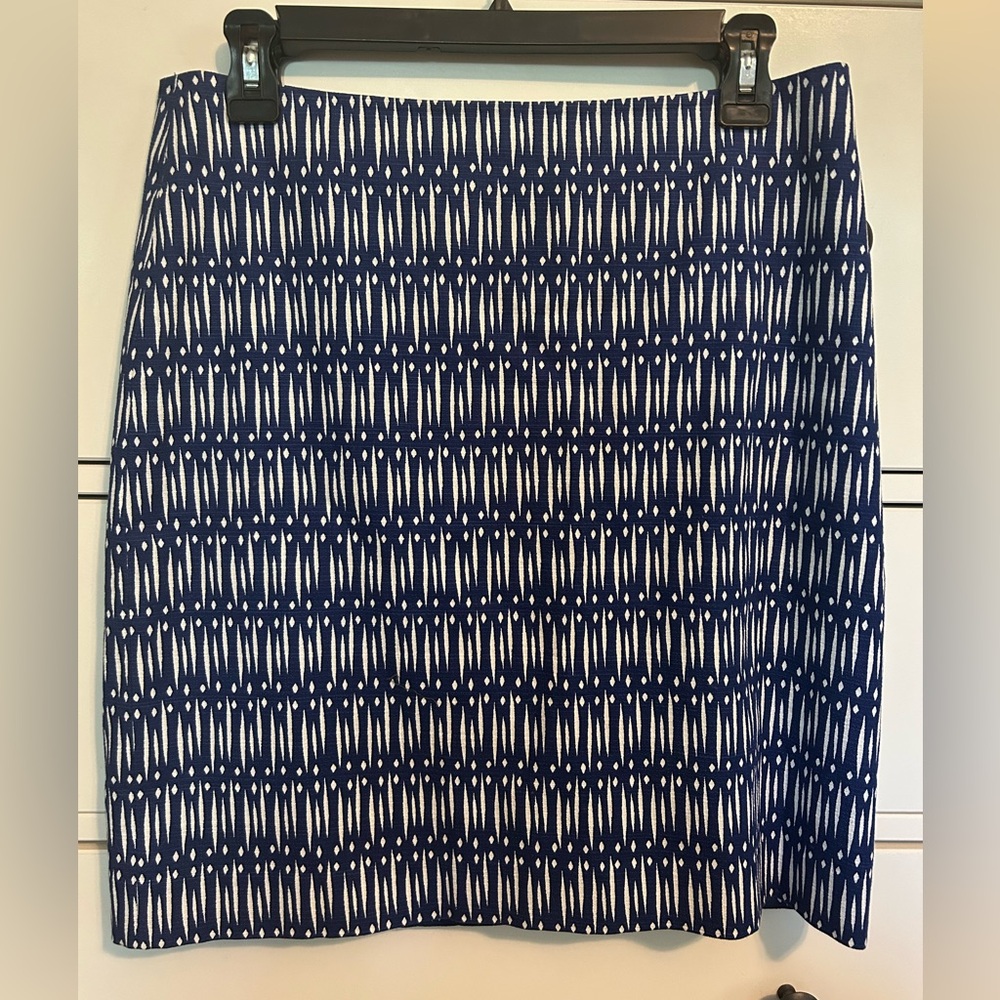 Ann Taylor Skirt